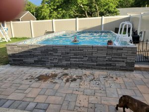 A dog is standing in front of the pool.